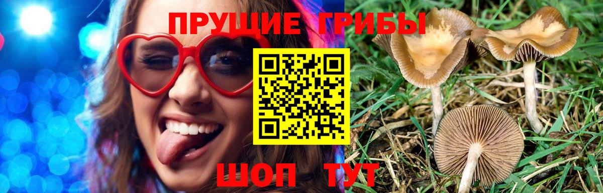 Галлюциногенные грибы ЛСД Рузаевка